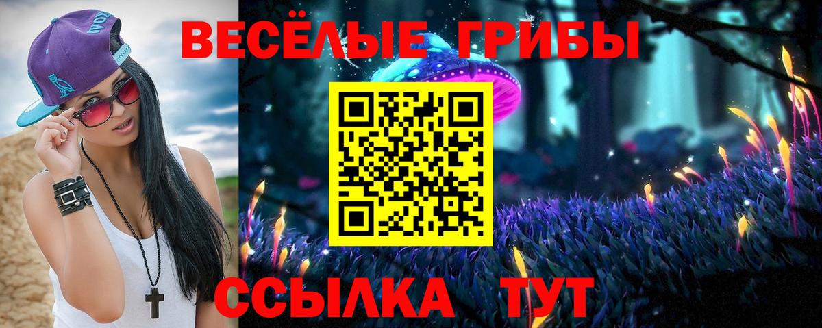 Унеча  цена   Галлюциногенные грибы GOLDEN TEACHER  Вход с VPN  Галлюциногенные грибы MAGIC MUSHROOMS 