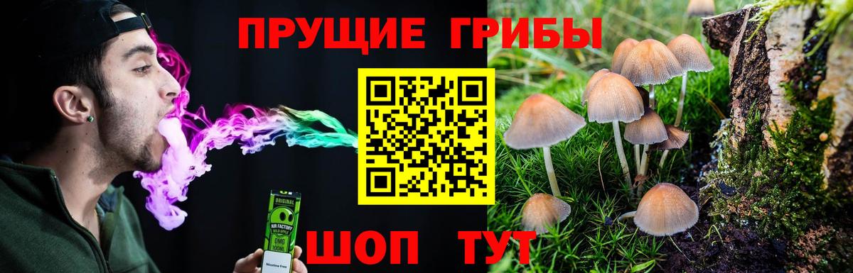 Псилоцибиновые грибы прущие грибы Унеча